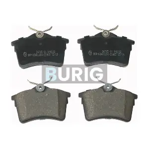 B020031 Burig