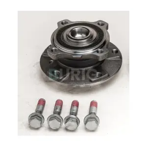 B100138 Burig