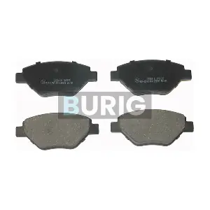 B020402 Burig