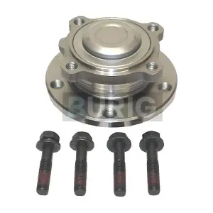 B100227 Burig