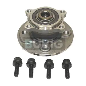 B100111 Burig