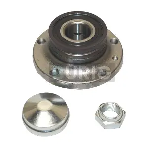 B100293 Burig