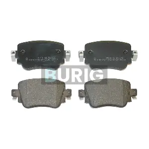B020395 Burig