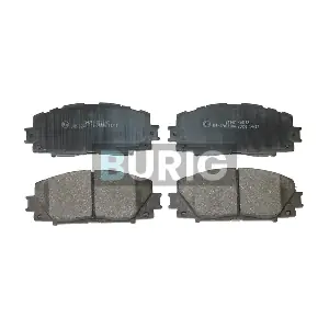 Burig B020493