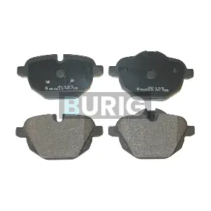 B020194 Burig