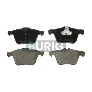 B020278 Burig