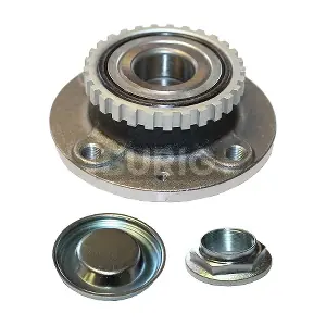 B100279 Burig