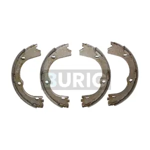 B050171 Burig