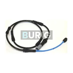 B070021 Burig