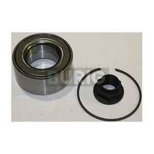 B100249 Burig