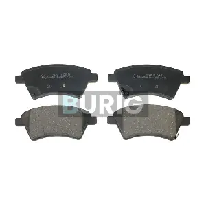 B020499 Burig