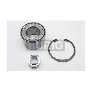 B100559 Burig