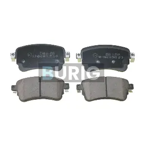 B020180 Burig