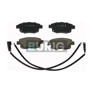 B020010 Burig