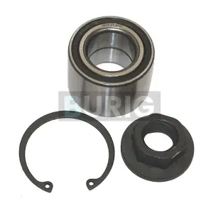 B100020 Burig