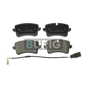 B020221 Burig