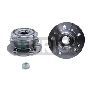 B100495 Burig