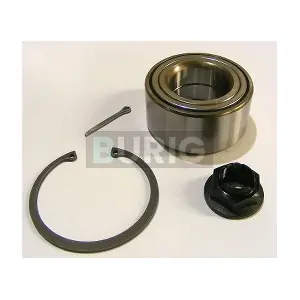 B100116 Burig