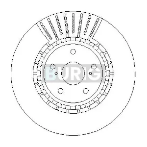 B011656 Burig