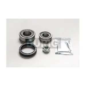 B100405 Burig