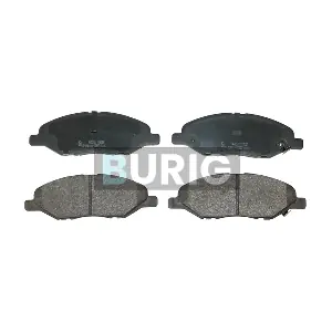 B020490 Burig