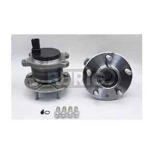 B100323 Burig