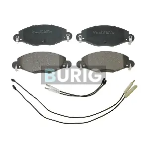 B020515 Burig