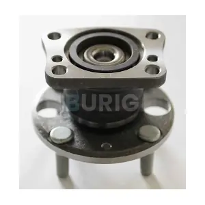 B100581 Burig
