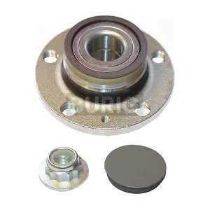 Burig B100011