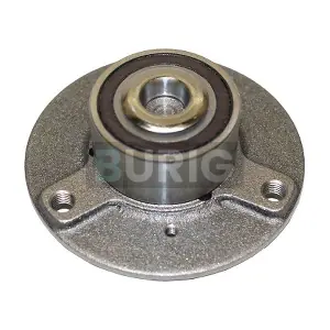 B100291 Burig