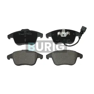 B020206 Burig