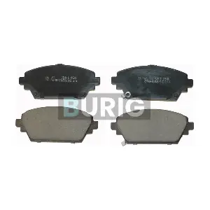 B020382 Burig
