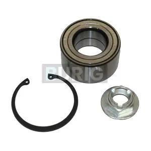 B100021 Burig