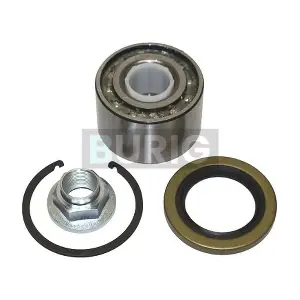 B100340 Burig