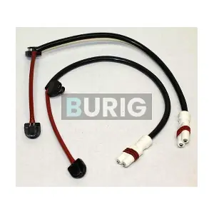B070109 Burig