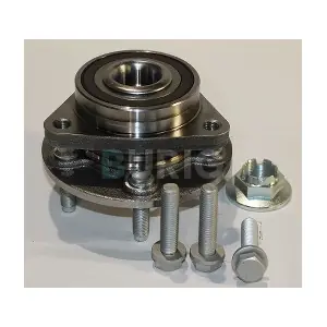 B100178 Burig