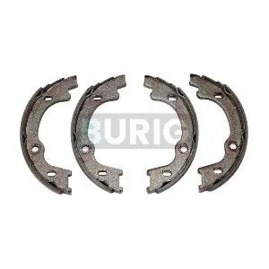 B050194 Burig