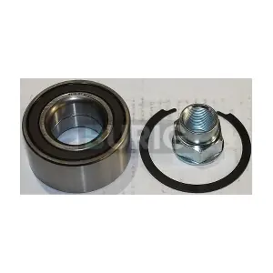 B100161 Burig