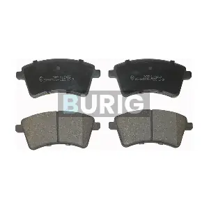 Burig B020118