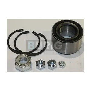 Burig B100269