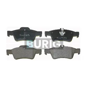 B020175 Burig