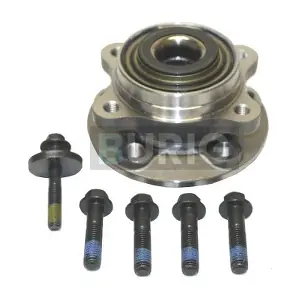 B100245 Burig