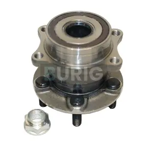 B100243 Burig