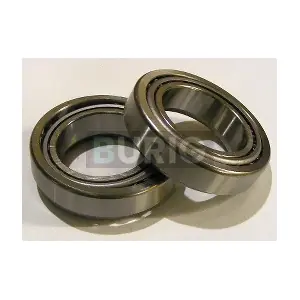 B100160 Burig