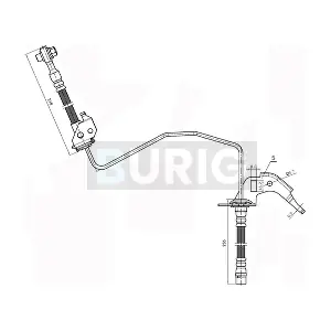 B080030 Burig