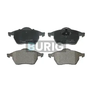 B020450 Burig