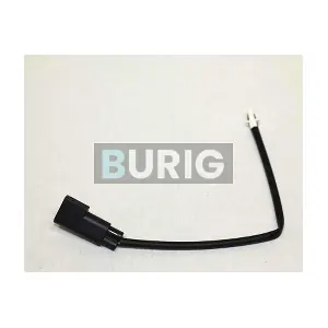 B070067 Burig