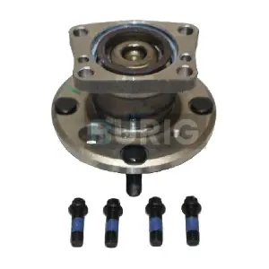 B100072 Burig