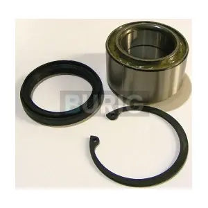 Burig B100198