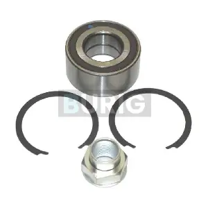 B100039 Burig